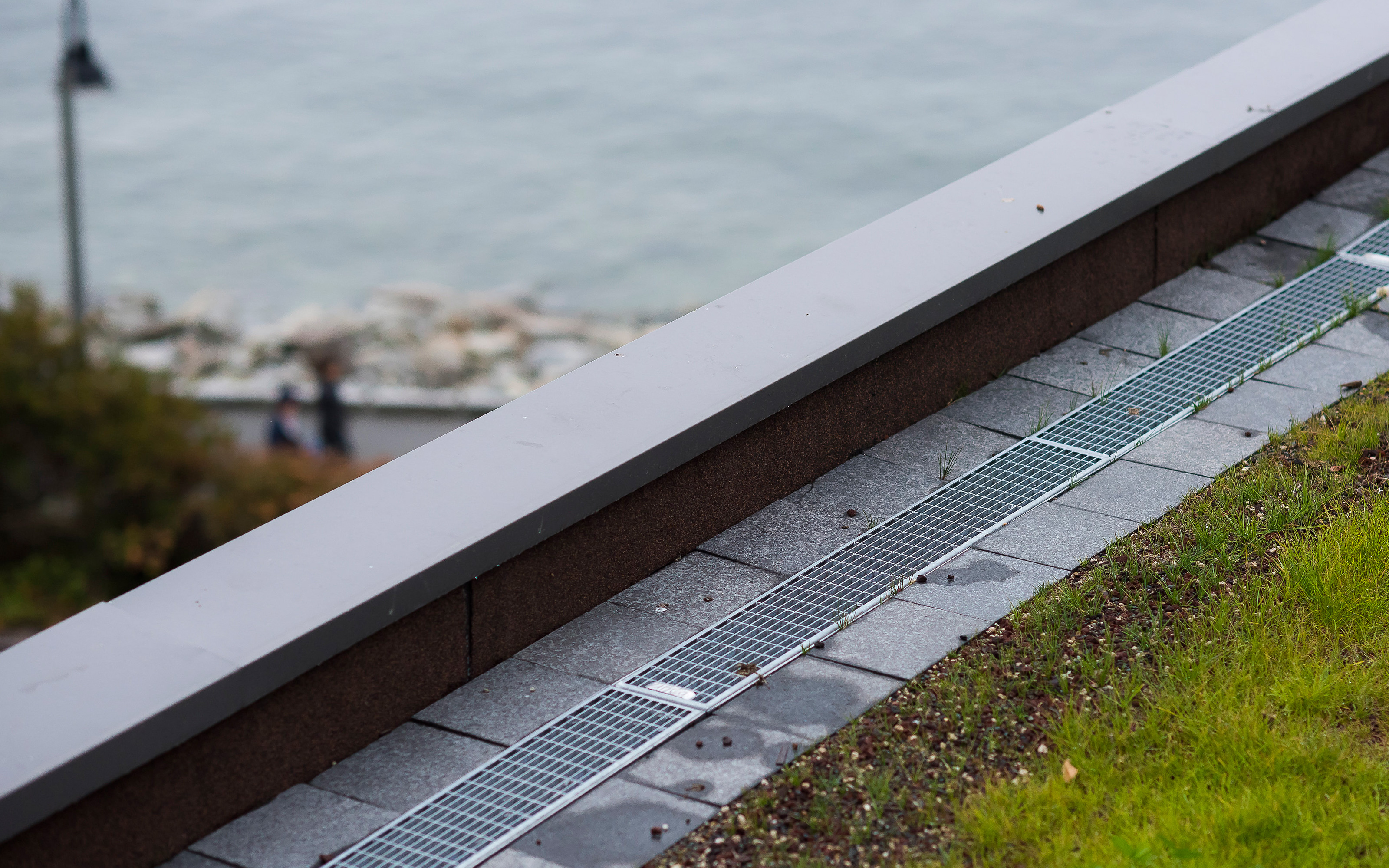 Drainage channels on a green roof