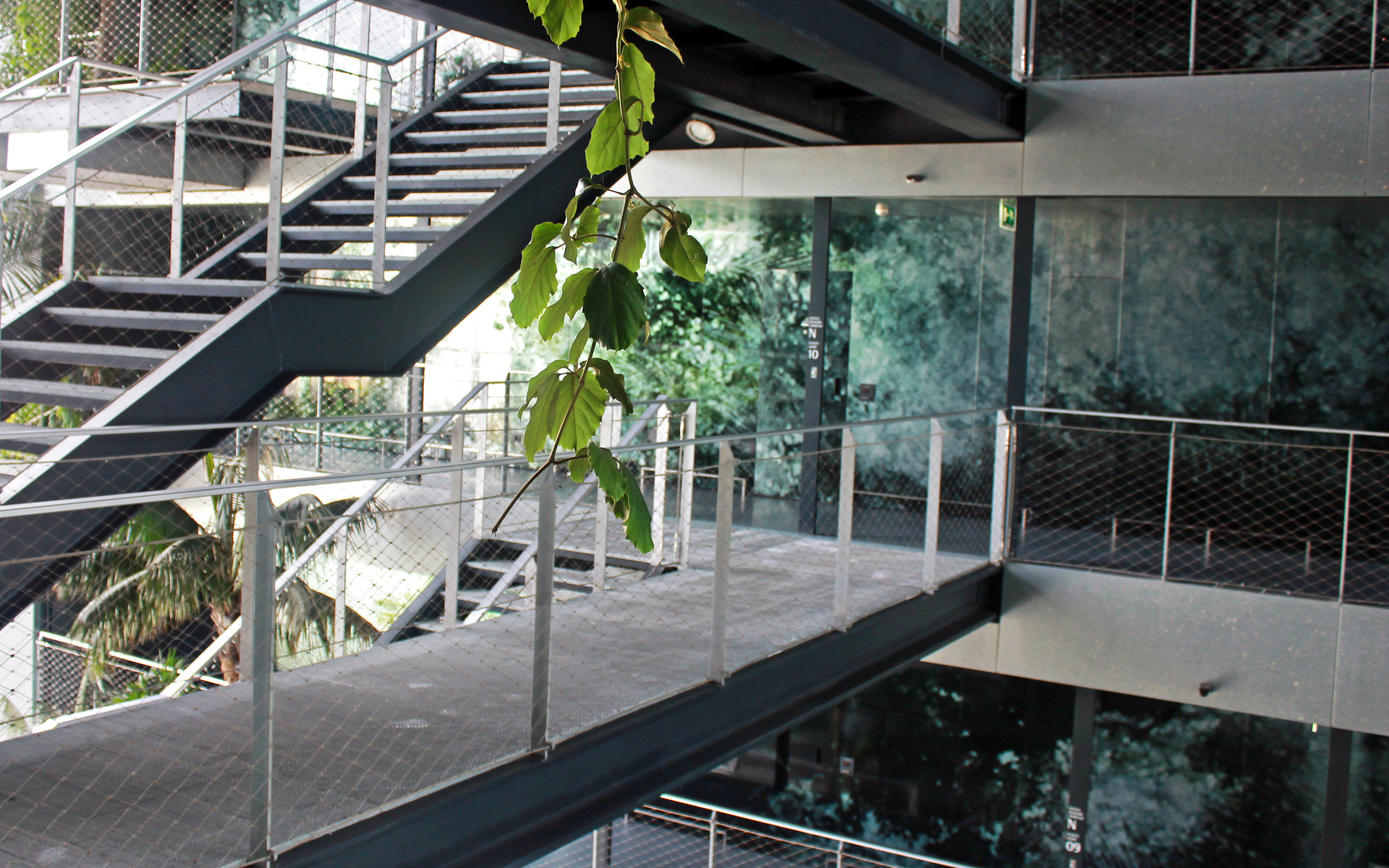 Stairways surrounded by tropical plants