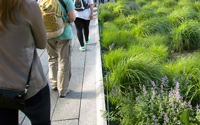 People walking on a green roof