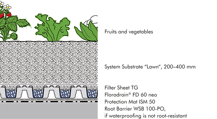 System build-up "Urban Rooftop Farming"