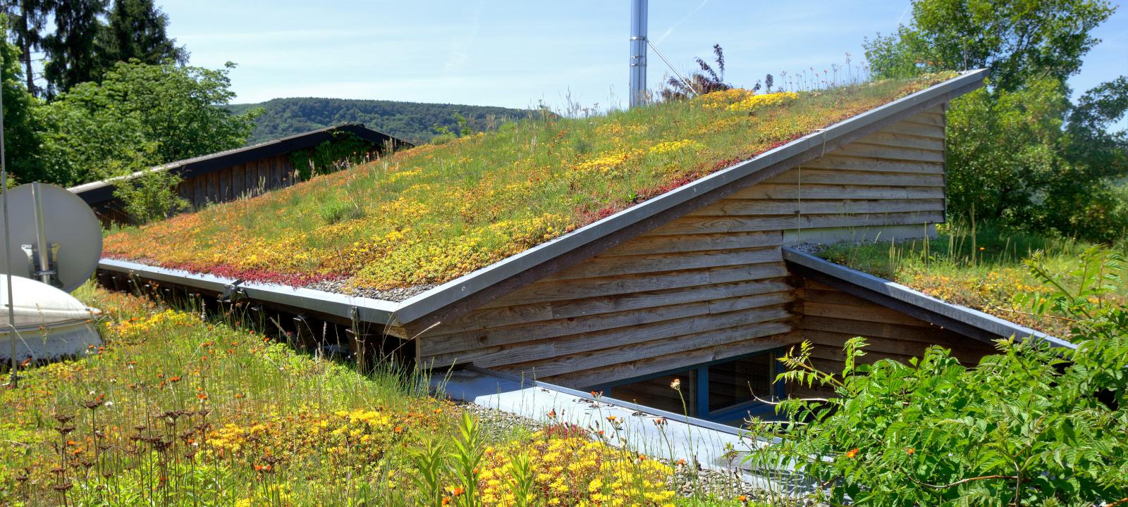 Pitched Green Roofs up to 25° ZinCo Green Roof Systems