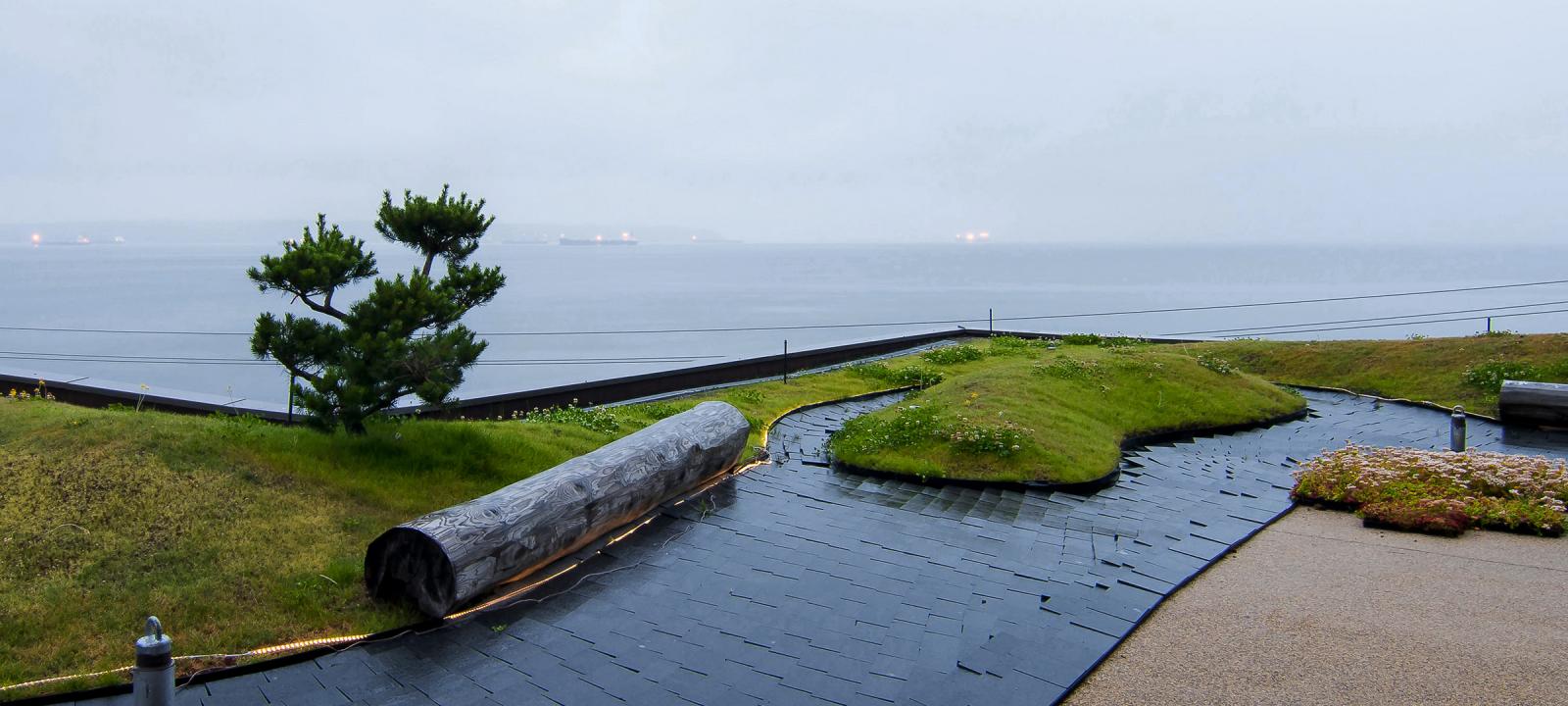 Roof garden with lawn, tree trunk, small pine tree and subtle illumination at dawn