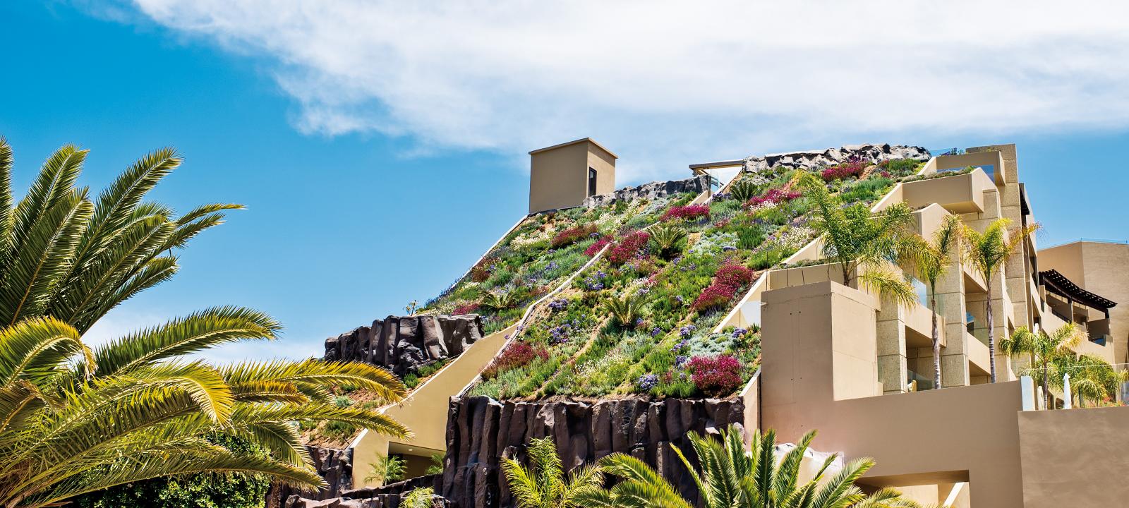 Steep pitched green roof with colourful vegetation