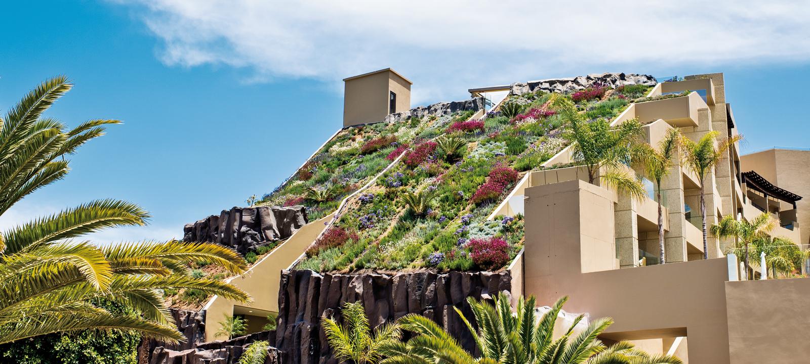 Steep pitched green roof in full blossom