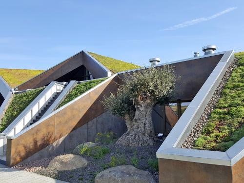 Pitched green roof with various slopes
