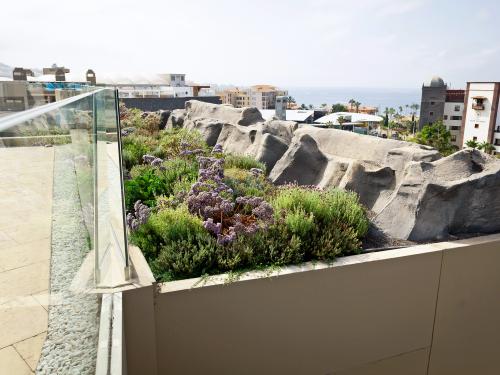 Green roof and roof terrace