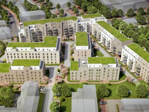Bird's eye view of extensive green roofs on residential blocks