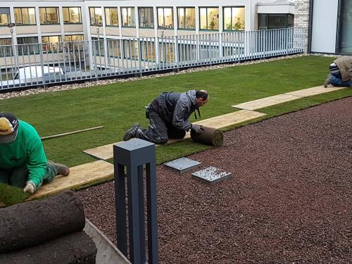 Pre-cultivated rolls of turf are installed on a green roof
