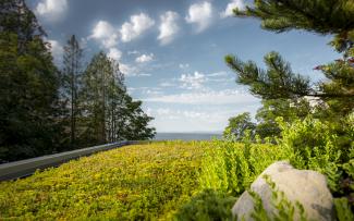 Diese Teildachfläche geht auf ihrer rechten Seite unmittelbar in die niveaugleiche natürliche Landschaft über. Quelle: Brett Ryan Studios, Vancouver Extensive green roof