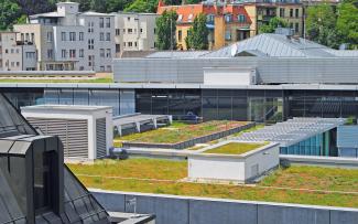 Extensive green roofs in the city