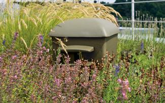 Green roof with herbs and Nesting aid