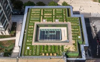 The accurately arranged planting beds can be clearly seen from above. © Drone view Bird's eye view of the roof garden