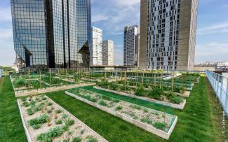 The urban farming roof garden at the “Le Cordon Bleu” cookery school at 1011 m² is one of the largest in Paris. © Drone view Roof garden with lawn and plant beds in the city
