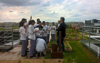 Fresh from the roof to the kitchen: the urban farming roof tells the students all about the cultivation and care of the widest variety of plants. © Drone view Cookery school students on the roof