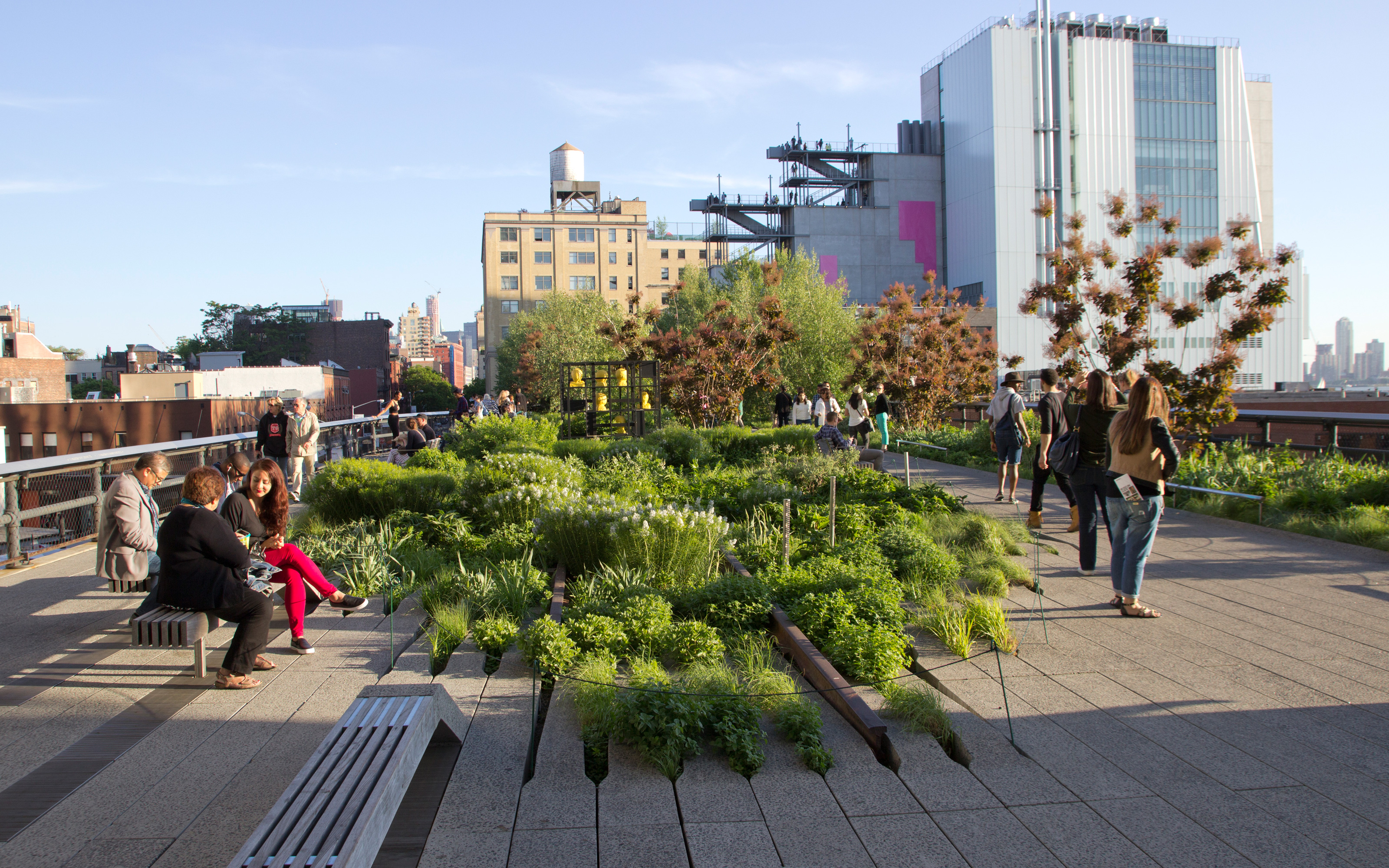 The High Line with walkways and vegetated rails