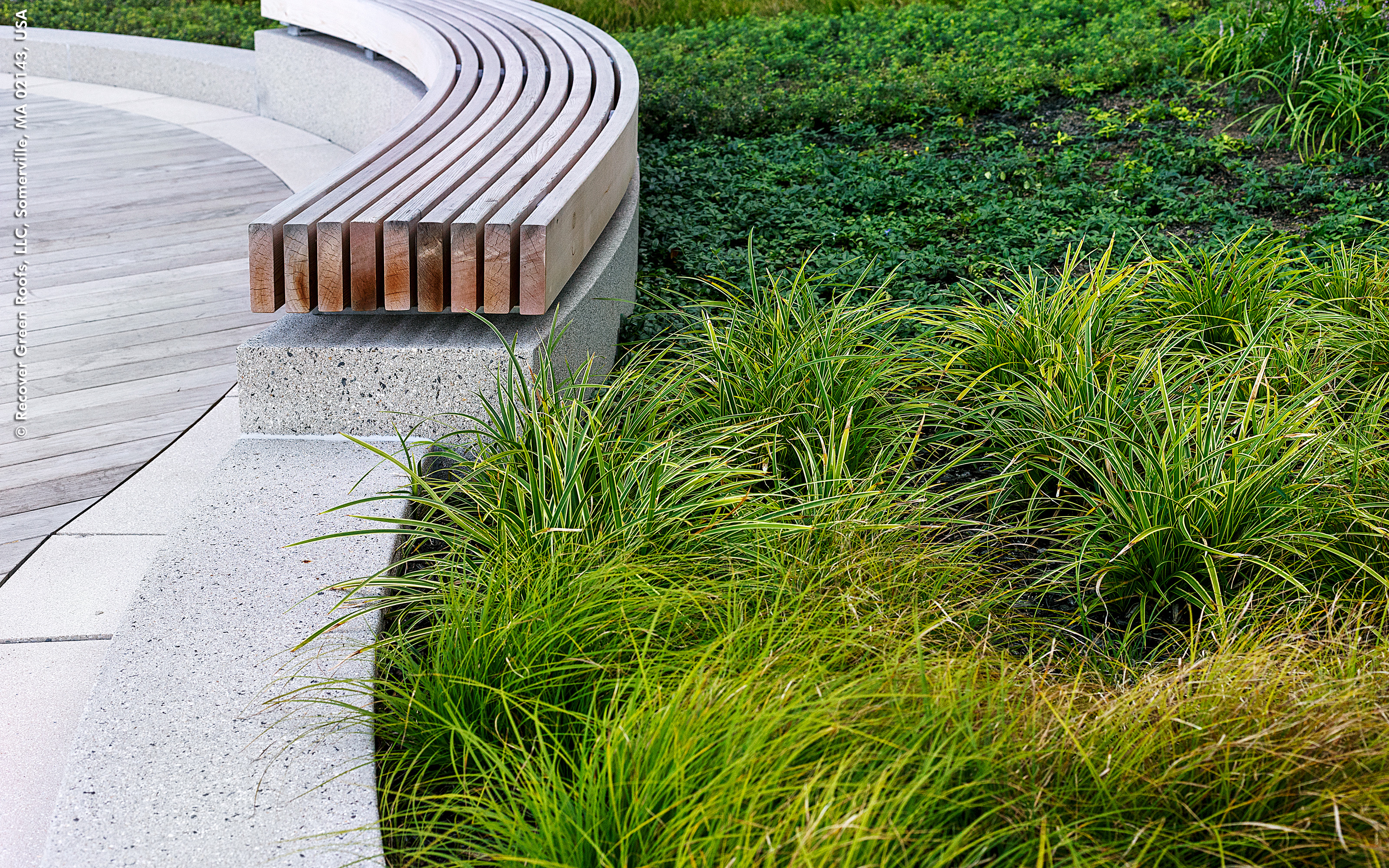 Plant bed and curved bench