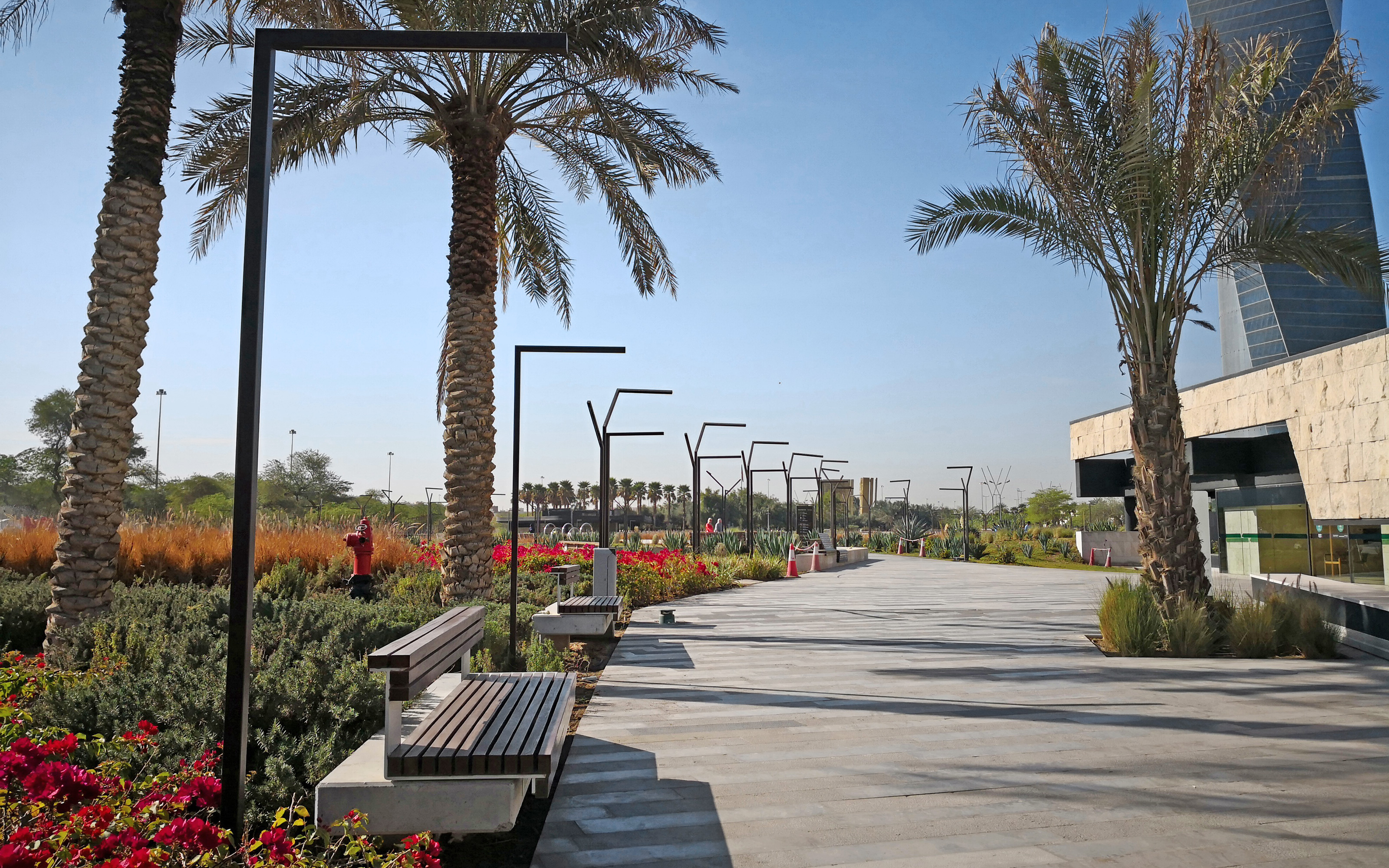 Walkways with benches, plant beds and palm trees in a park