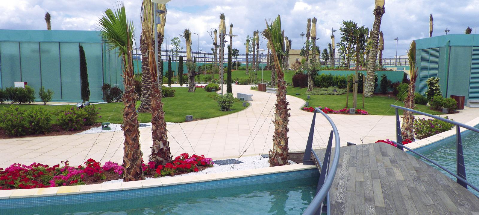 Roof garden with palm trees and a curved wooden bridge leading over a water basin