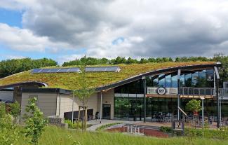 A curving green roof in the shape of a wave