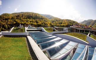 Extensive green roofs with glass roof areas