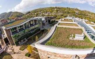 Buildings with extensive green roofs